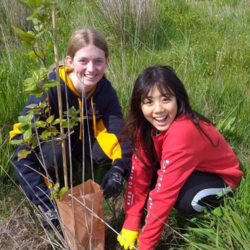 Youth Volunteering