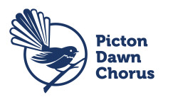 image for Picton Dawn Chorus