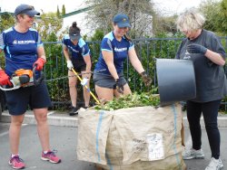 Employee Volunteering