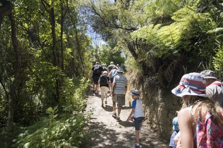 Logo for NOT ACTIVE ACCOUNT- Kaipupu Sanctuary (Use PDC)